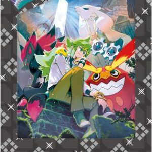 Collection File Set N